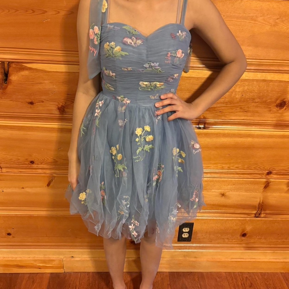 Floral Embroidered Blue Dress